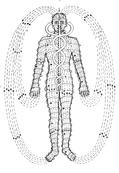 Terapias Energeticas